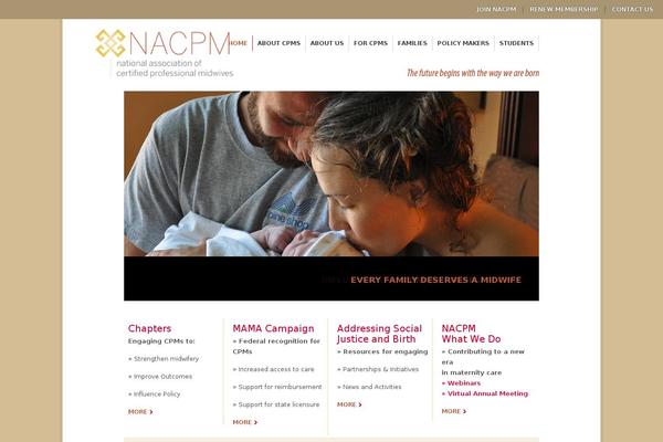 The Practice theme site design template sample