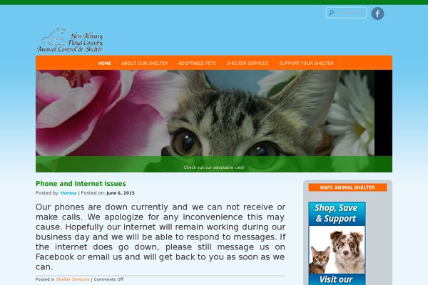 D5 Socialia theme site design template sample