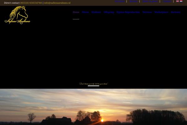 Site using WP Posts Carousel plugin