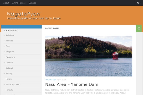 Site using Falconiform YouTube Widget plugin
