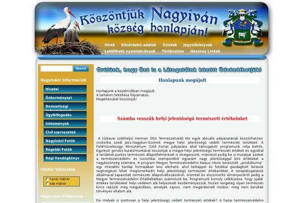 Vision theme site design template sample
