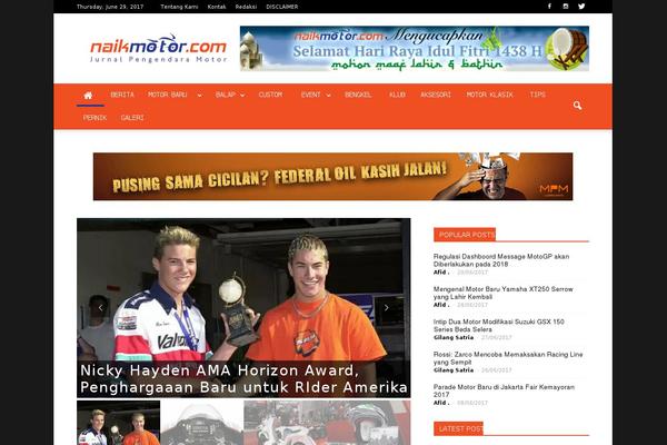 Newspaper theme site design template sample