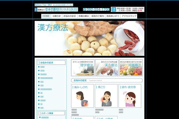 nakamurahiroshiseikei.com site used Byd
