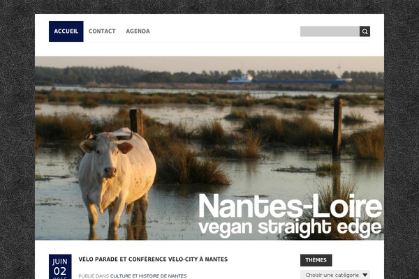 BoldR Lite theme site design template sample