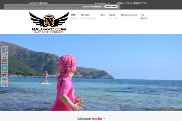 nalupro.com site used Bigwig
