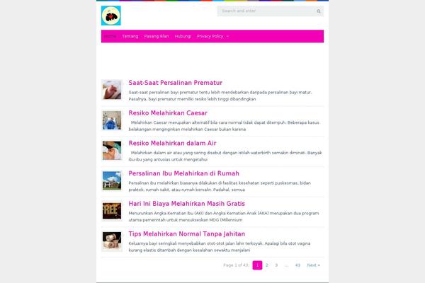 Site using Wp-minify plugin