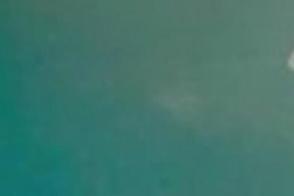 Diver_child theme site design template sample