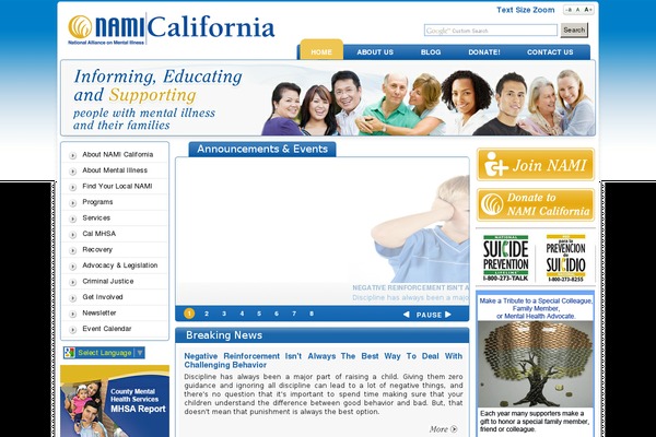 namicalifornia.org site used Nami_twentyten