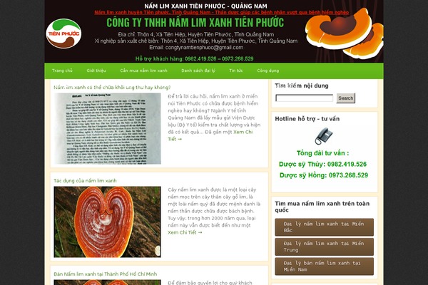 GrungeMag theme site design template sample