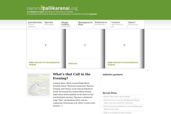 Newscast theme site design template sample