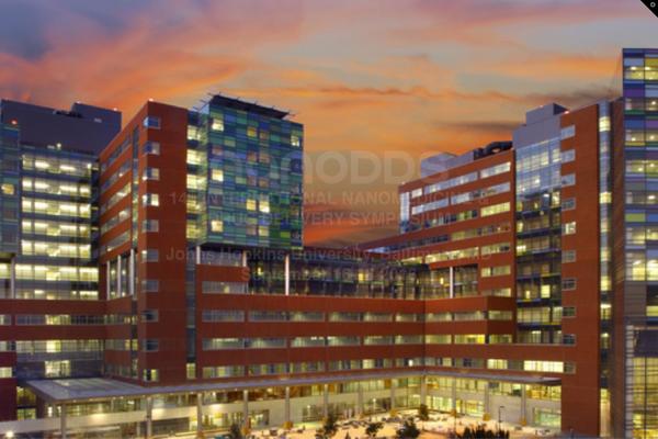 X | The Theme theme site design template sample