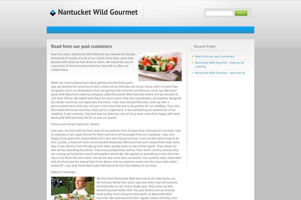 Blue and Grey theme site design template sample