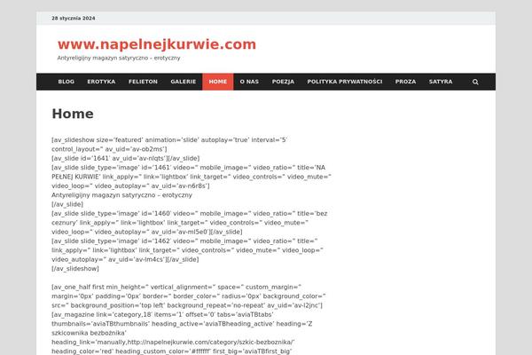 HitMag theme site design template sample