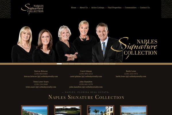Amadeus theme site design template sample