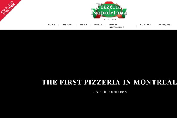 Napoli theme site design template sample