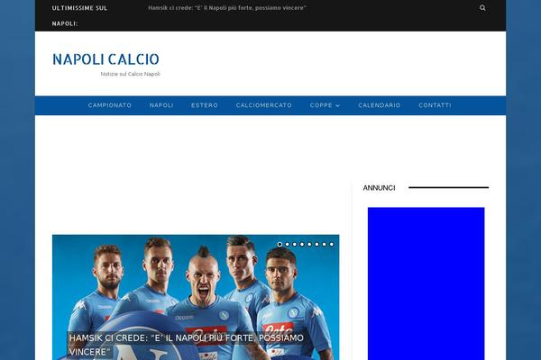 Napoli theme site design template sample