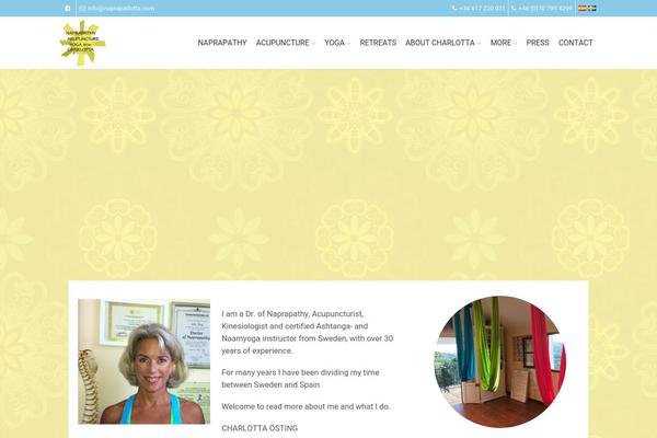 Route theme site design template sample