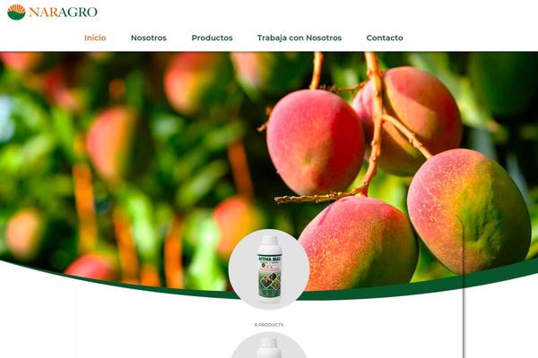 Site using Elementor-pro plugin