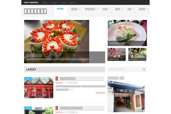 Point theme site design template sample