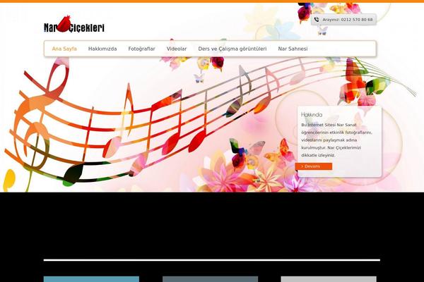 narcicekleri.com site used Road Fighter