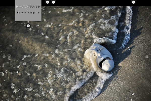 Big_gallery_wp theme site design template sample