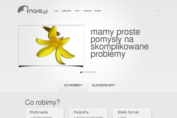 Nova theme site design template sample