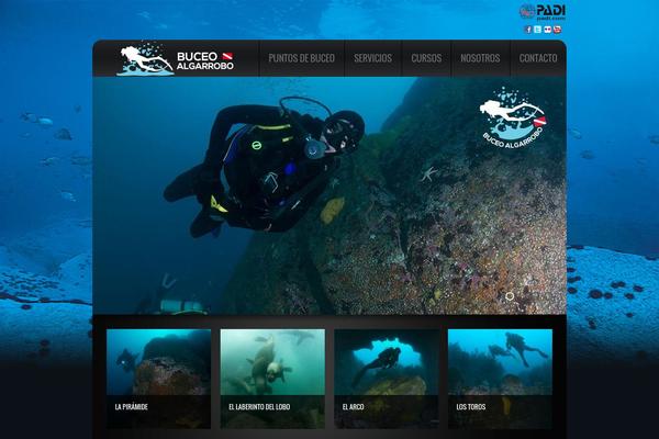 narval.cl site used Theme1562