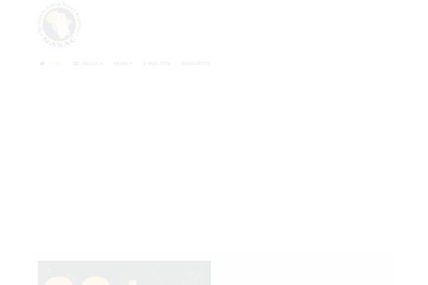 Bixol website example screenshot