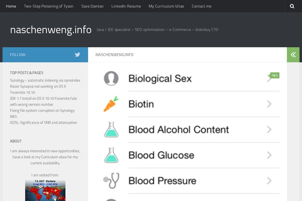 Hueman-pro theme site design template sample