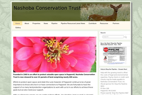 Suffusion theme site design template sample