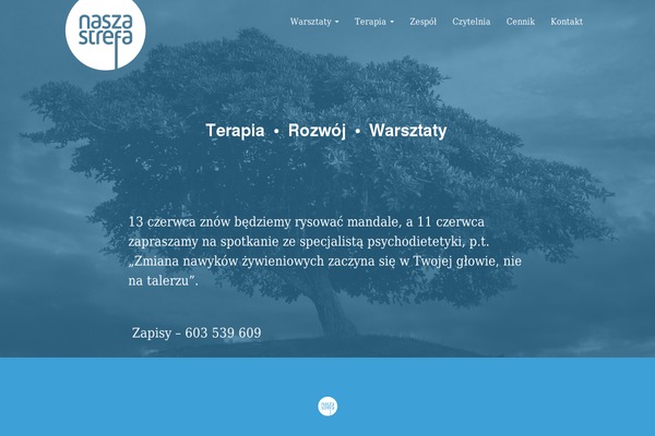Site using Pronamic Cookies plugin