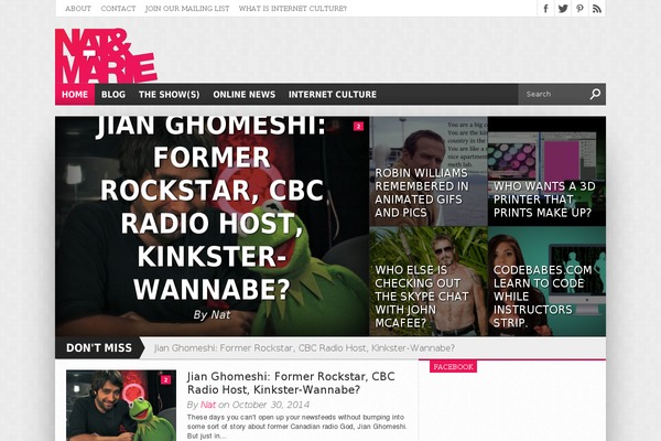 Hot Topix theme site design template sample