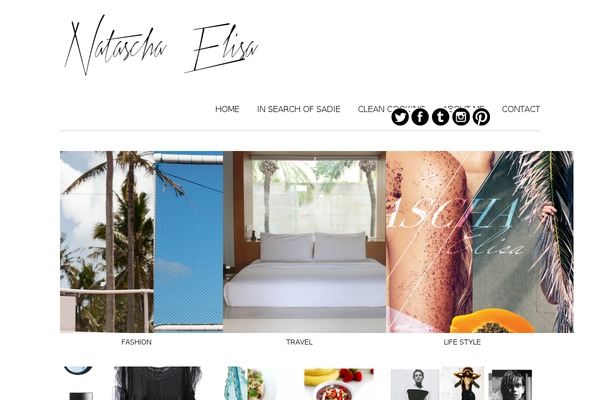 natascha theme websites examples