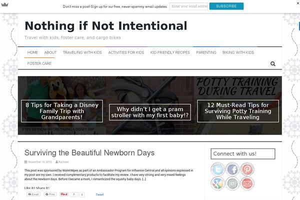 FlyMag theme site design template sample