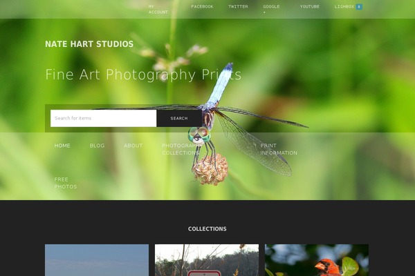 natehartstudios.com site used Stock-photography