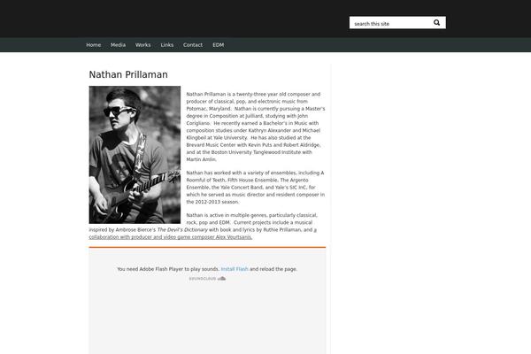 thememagic theme site design template sample