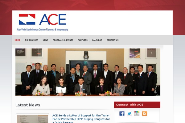 Candidate theme site design template sample