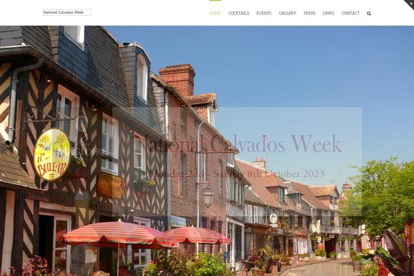 Avada theme site design template sample