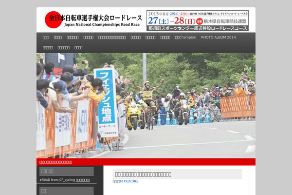 championships theme websites examples