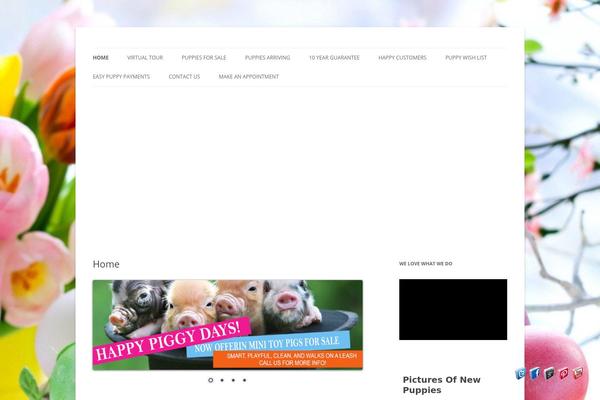 Site using Alpine PhotoTile for Google Plus and Picasa plugin