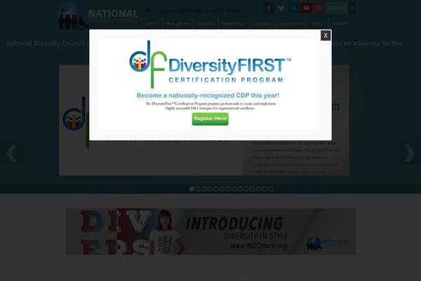 Divi Child theme site design template sample