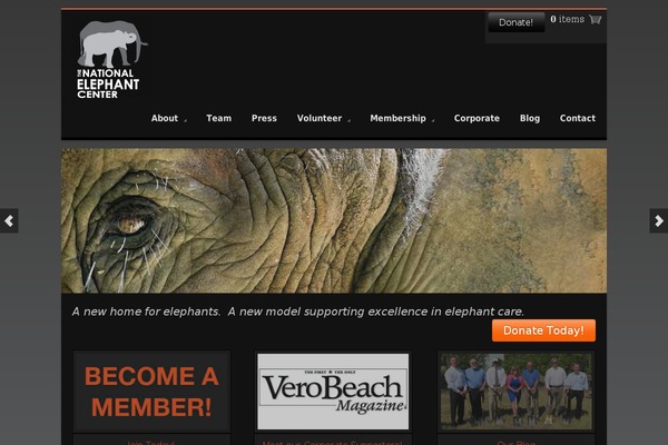 Tersus theme site design template sample