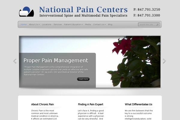TheProfessional theme site design template sample