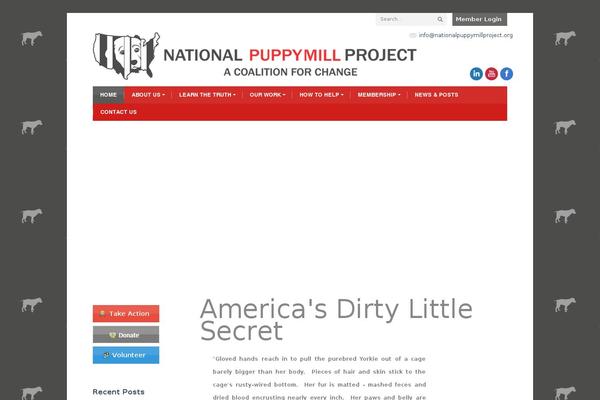 Dt-pressmate theme site design template sample