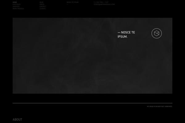 nationvisuals.com site used Ntn