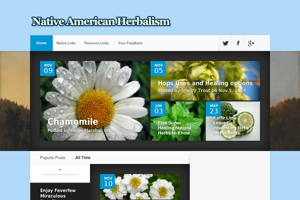 Twenty Nineteen theme site design template sample