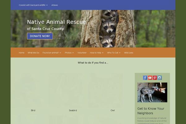 Site using Wooslider plugin