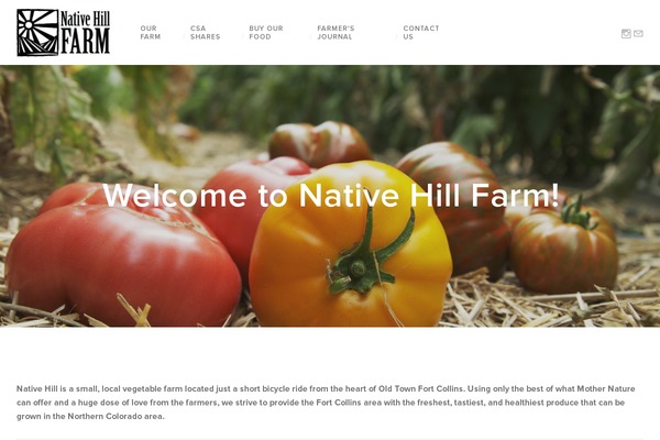 Site using Google Calendar Widget plugin