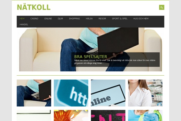 Magazino theme site design template sample
