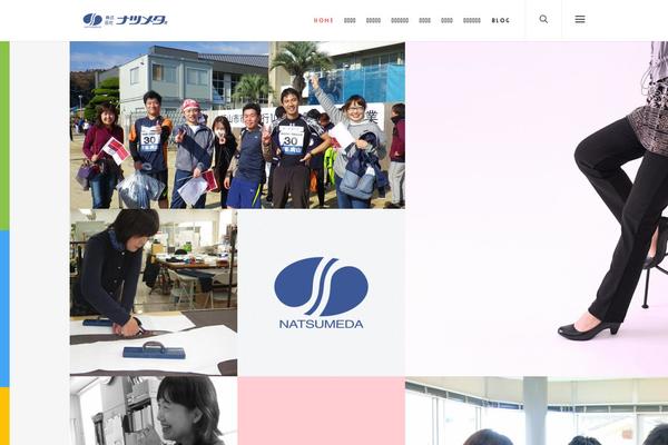 Salient theme site design template sample